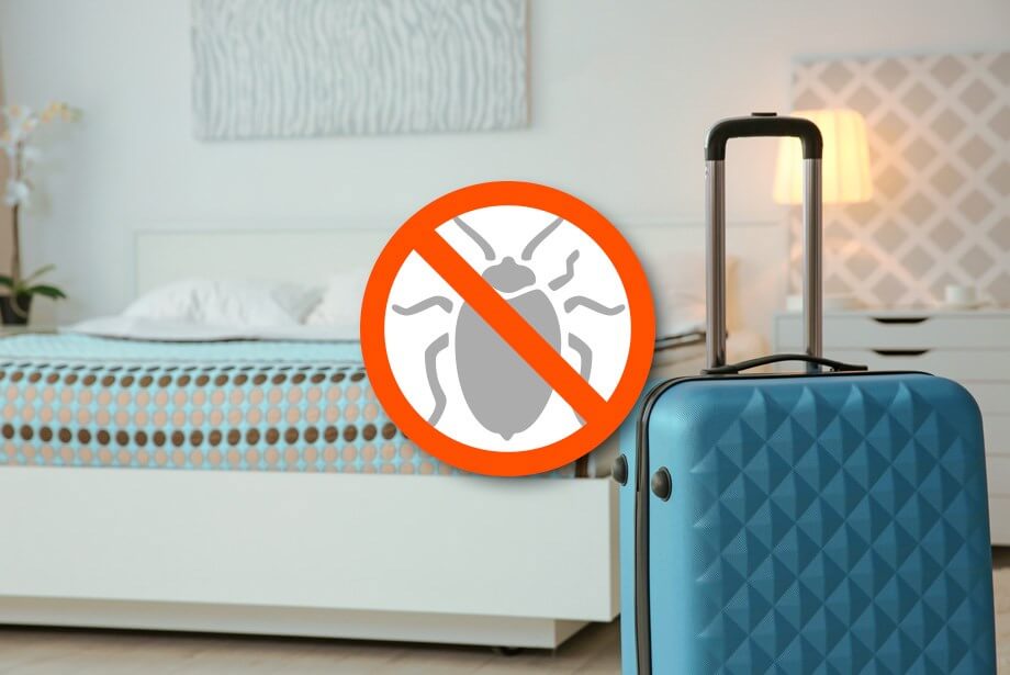 ArcticStores™ are often used for bed bugs and other infestations